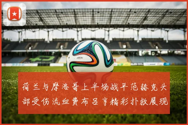 荷兰与摩洛哥上半场战平范赫克头部受伤流血费布吕亨精彩扑救展现实力