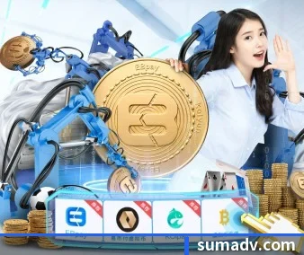 公司成立